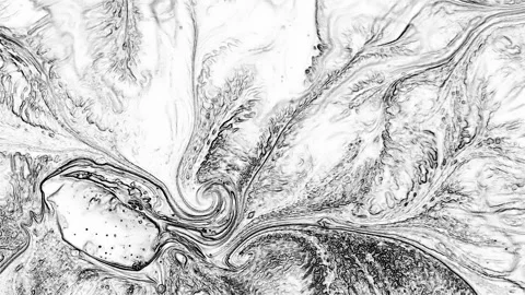 White And Black Mixed Lines Chaos Ideas Confusion Background 20 Stock Footage 314348925