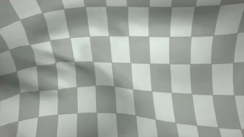 White and black race flags Vídeo Stock 221641373