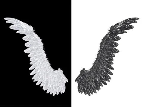 White and Black Wing Ilustración de archivo