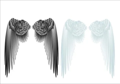 White and black wings Stock Illustration