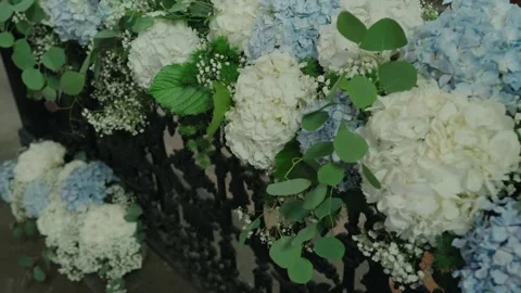 White And Blue Hydrangea Floral Arrangement With Eucalyptus Greenery Stock-Footage 340595654