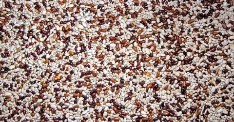 White and brown beans texture background or pattern Stock Photos