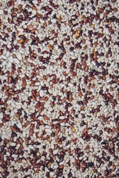 White and brown beans texture background or pattern Stock Photos