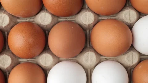 White and brown chicken eggs moving in a cardboard carton Stock Footage 344604163