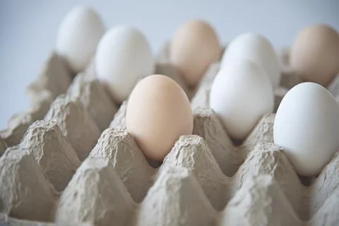 White and dark eggs in an egg carton on a white background. Stock Photos