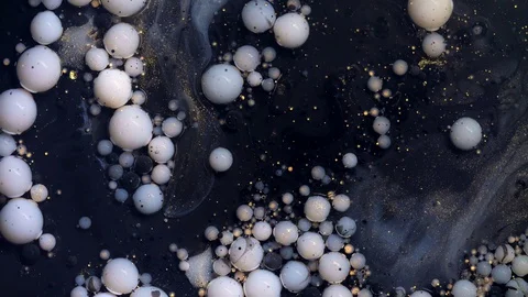 White and golden paint bubbles spreading on black surface mix in abstract design Stock Footage 128761482
