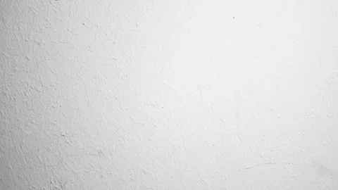 White and gray plasterwork. Empty gray wall painted, animation. Stock Footage 316246709
