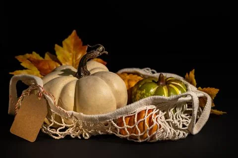 White and green pumpkins in rustic mesh basket with autumn leaves and blank.. Stock Photos