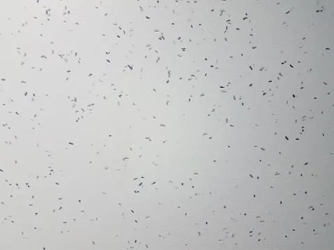 White and grey surface or wall with speckles or dots Stock Photos