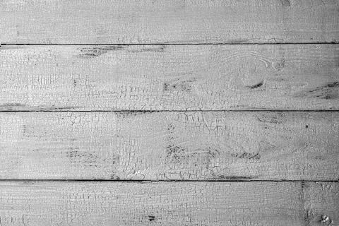 White and light grey background Фото