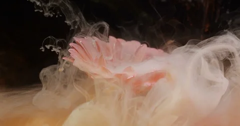 White and orange paint enveloping in water over pink flower 스톡 동영상 123646507