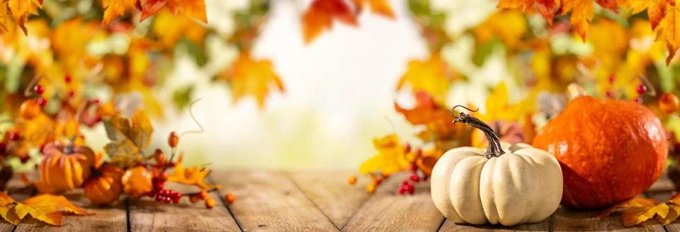 White and orange pumpkins on rustic wooden table framed by autumn leaves fo.. Stock Photos