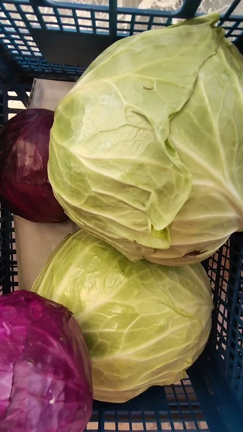 White and red cabbage in a blue box at an organic grocery store Stock Footage 306573183