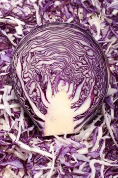 White and red  cabbage Stock Photos