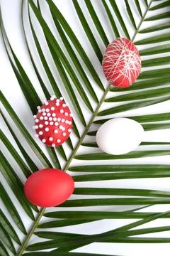 White and red easter eggs and palm branch on a white background Stock Photos