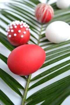 White and red easter eggs and palm branch on a white background Stock Photos