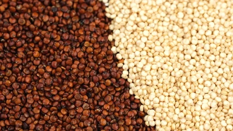 White and red quinoa seed in plate, rotation Stock Footage 335094985