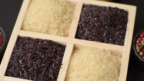 White and red raw rice grains in a ceramic bowl. Rice as an ingredient Stock Footage 305492186