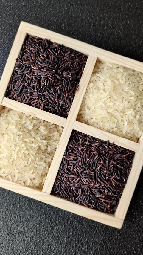 White and red raw rice grains in a ceramic bowl. Rice as an ingredient Stock Footage 305492281