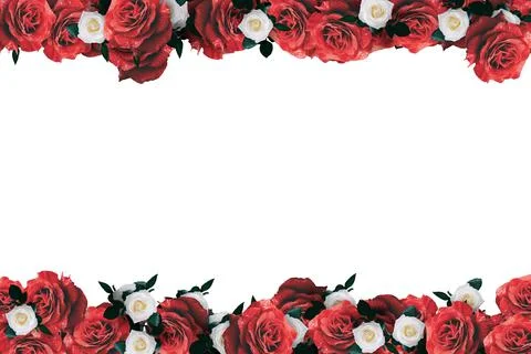 White and Red Roses Border Frame Stock Photos
