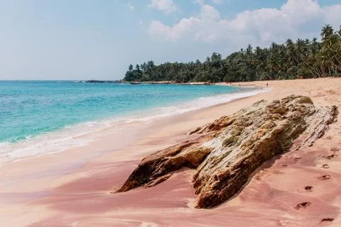 White and rose sand & blue water in Tangalle. Amanwella beach with thin palm  Stock Photos