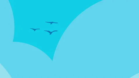 White and transparent clouds on the blue sky with flying birds in 4k video. Stockbeeldmateriaal 146948226