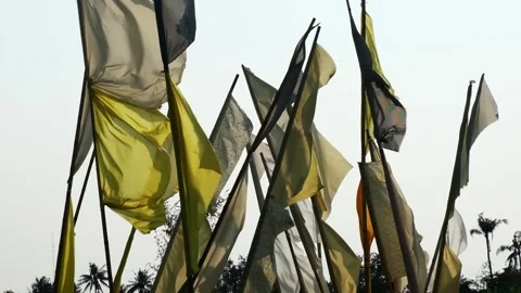 White and yellow flags Stock Footage 208837714