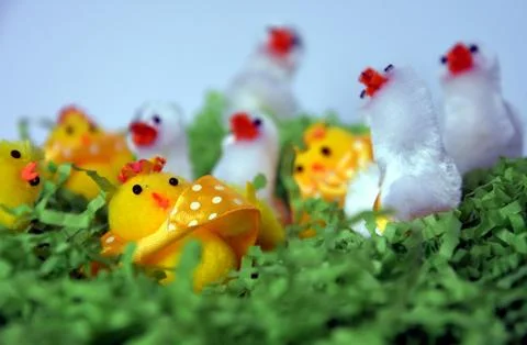 White and yellow plush easter chicken figures in green nest. Happy Easter C.. Stock Photos