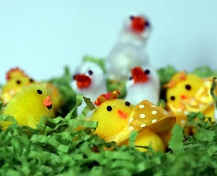 White and yellow plush easter chicken figures in green nest. Happy Easter C.. Stock Photos