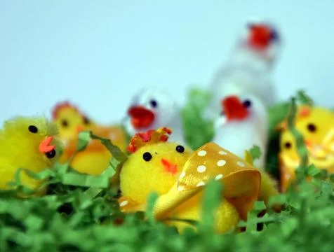 White and yellow plush easter chicken figures in green nest. Happy Easter C.. Stock Photos