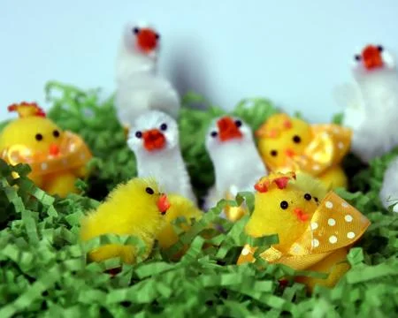 White and yellow plush easter chicken figures in green nest. Happy Easter C.. Stock Photos
