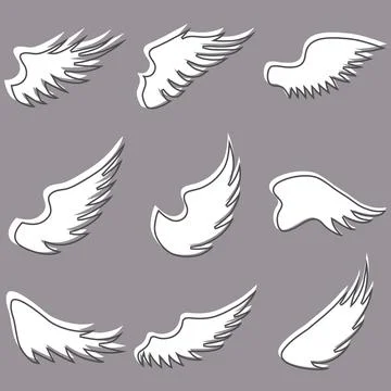 White Angel Wings Collection with Soft Grey Shadow and Outlines on Dark Ilustración de archivo