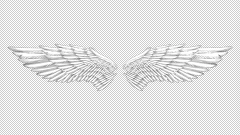 Looping Dark Angel Wings Flapping 1 Effect