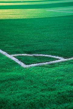 White angular lines on synthetic turf, vertical photo Stock Photos