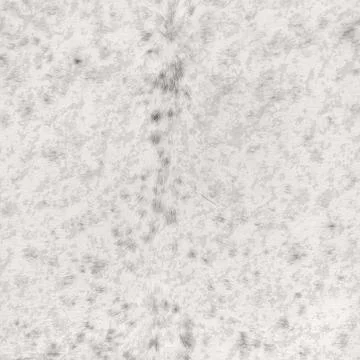 White animal texture Stock Photos