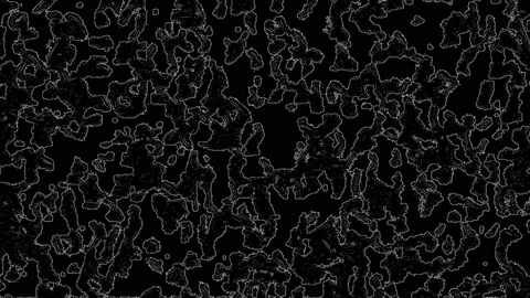 White, animated, mid sized abstract shapes with texturized noise inside 스톡 동영상 147101225