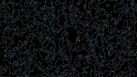 White, animated, mid sized abstract shapes with colored texturized noise inside 스톡 동영상 147103489