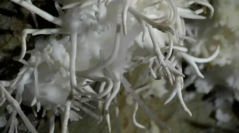 WHITE ARAGONITE STALACTITE  库存影片 64381060