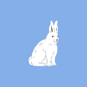 White arctic hare, cartoon flat vector illustration isolated on blue background. Stock Illustration