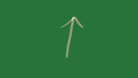 A white arrow on green background and green screen animated chromakey Video stock 335131878
