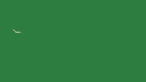 White arrow on it and bird flying in the sky small object isolated isolated on Stock Footage 336893139