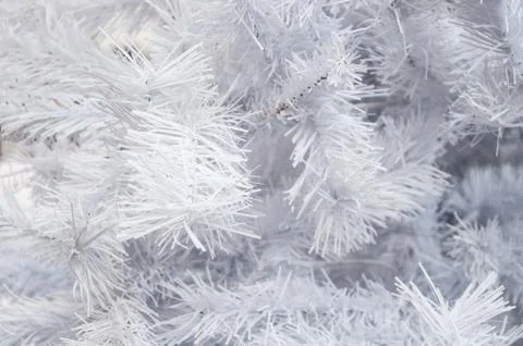 White artificial  christmas tree. Stock Photos