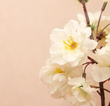 White artificial flowers Stock Photos