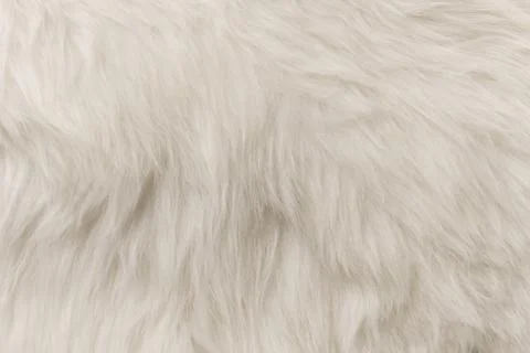 White artificial fur texture for background close-up Stock Photos