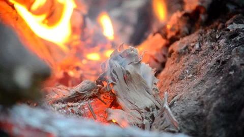 White ashes in the fire of a campfire close-up Stock Footage 236910283