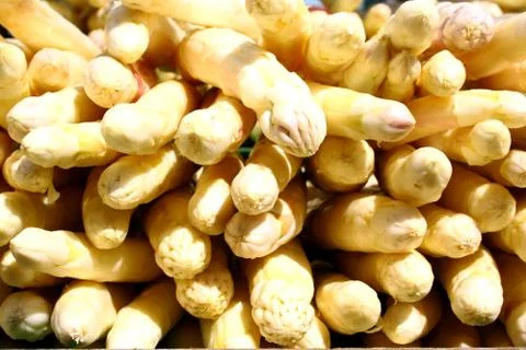 White asparagus as background, close up Stock Photos