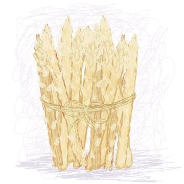 White asparagus Stock Illustration