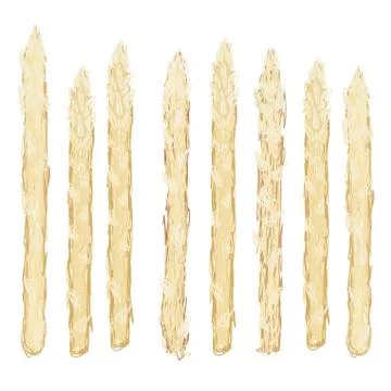 White asparagus Stock Illustration