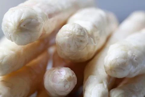 White asparagus Stock Photos