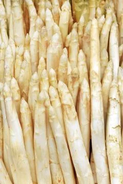 White asparagus Stock Photos